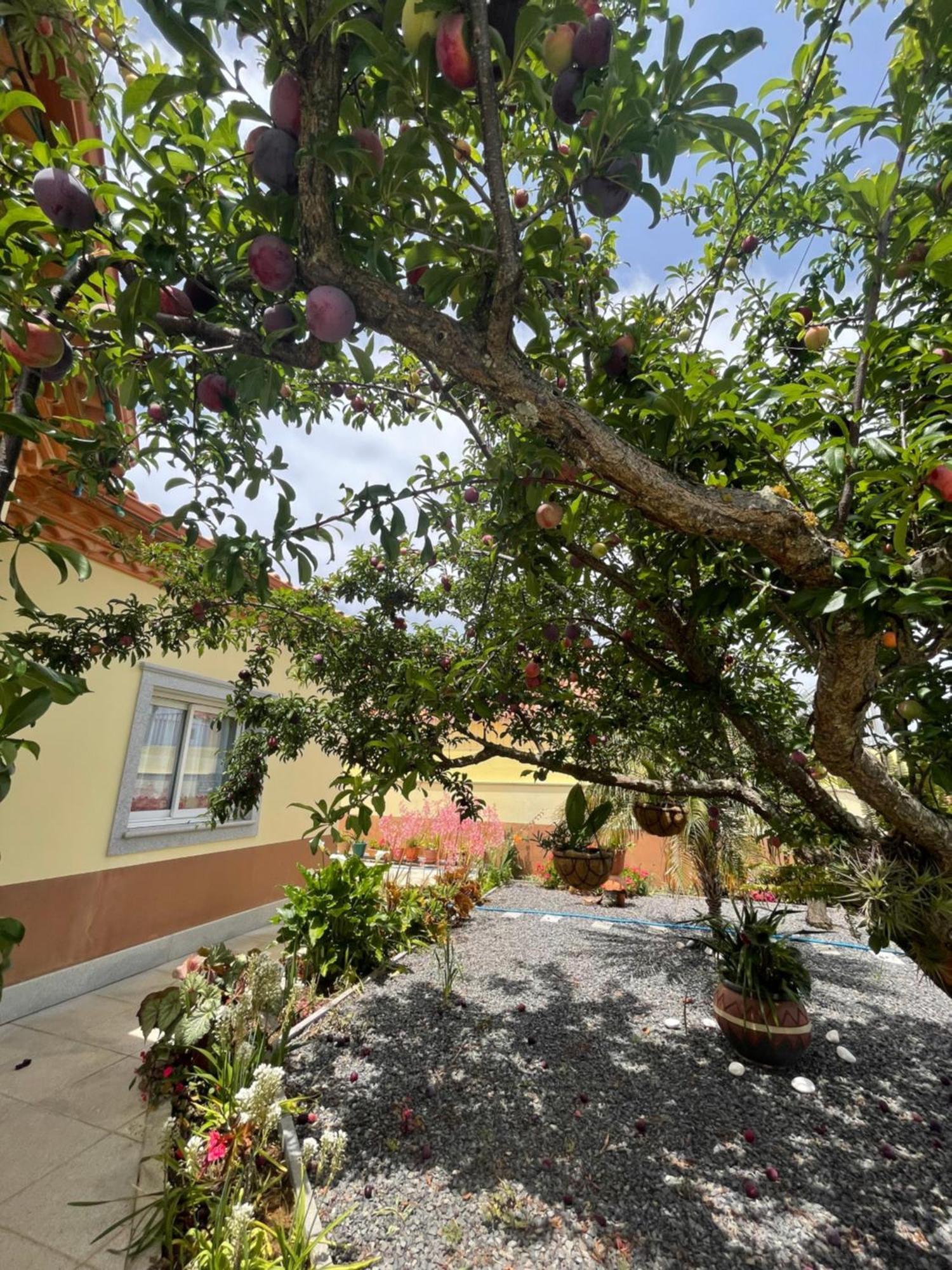 Belle Vue Hotell São Jorge Exteriör bild